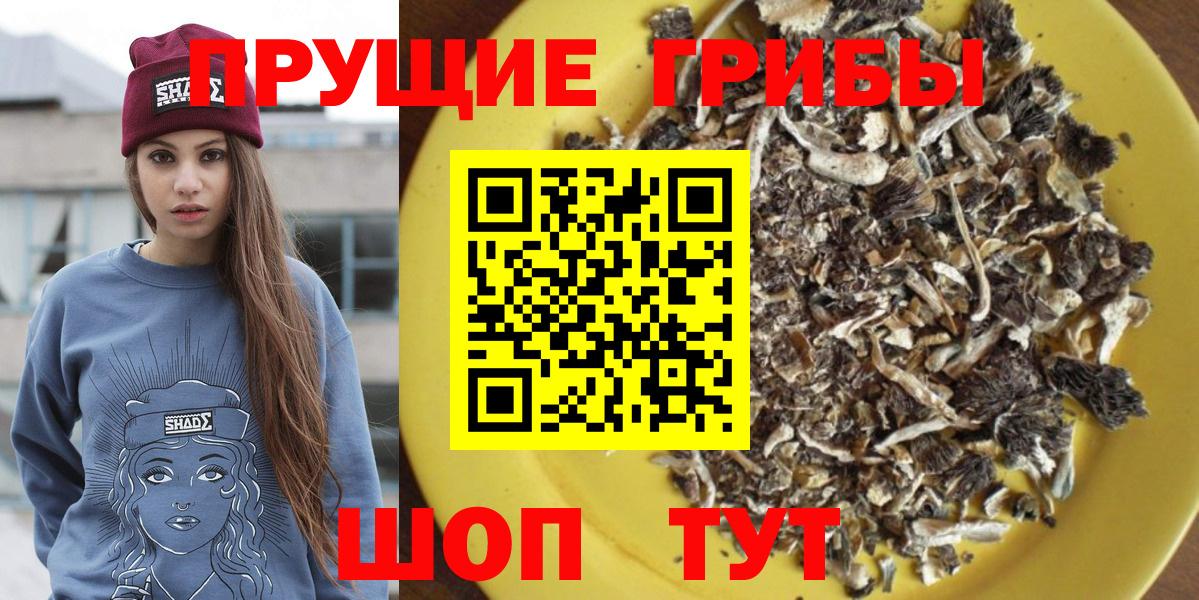 Новотроицк  Псилоцибиновые грибы мицелий  Вход с VPN 