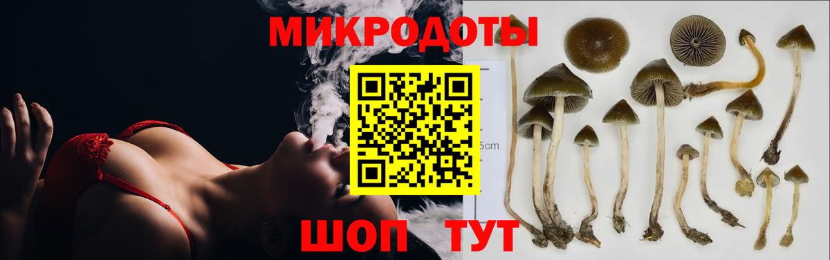 Галлюциногенные грибы мухоморы Новотроицк